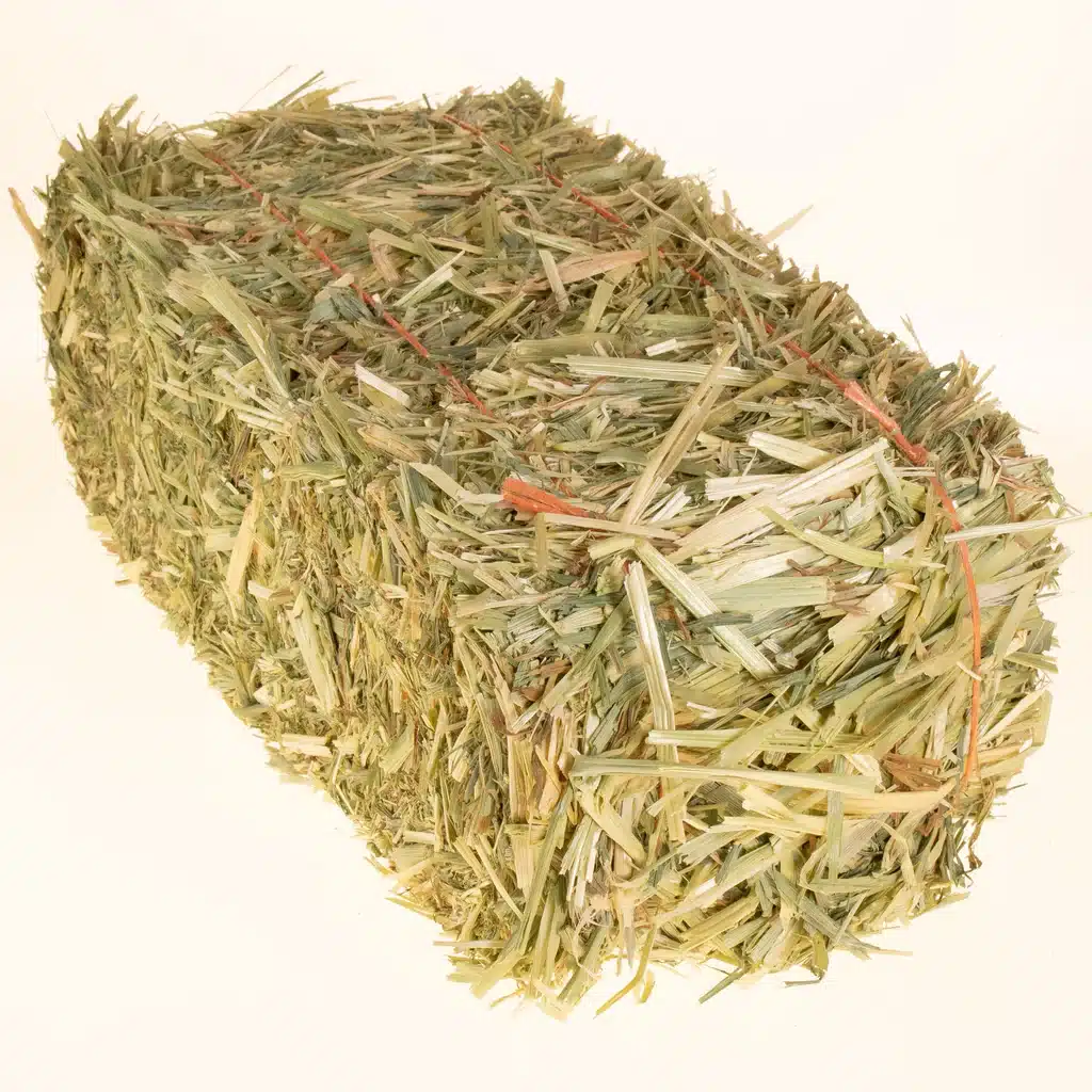 globalhay
