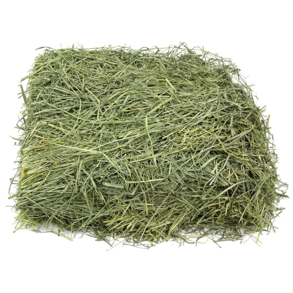 Sudan Grass Hay for Sale