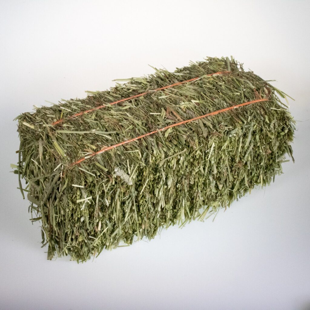 Premium Orchard Grass Hay