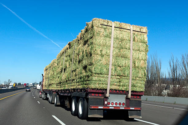 Alfalfa hay export prices