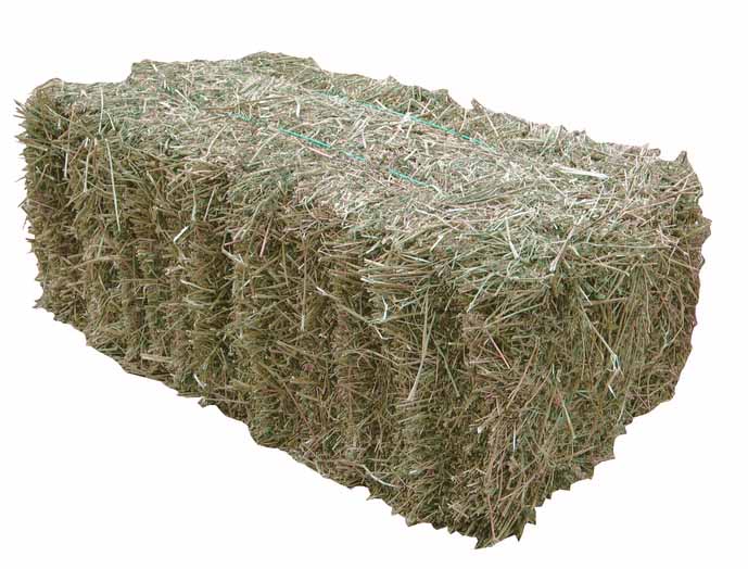 Oat Hay for Sale